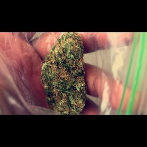 Meet your Posher, Kevin